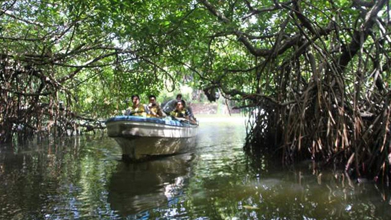 muthurajawela