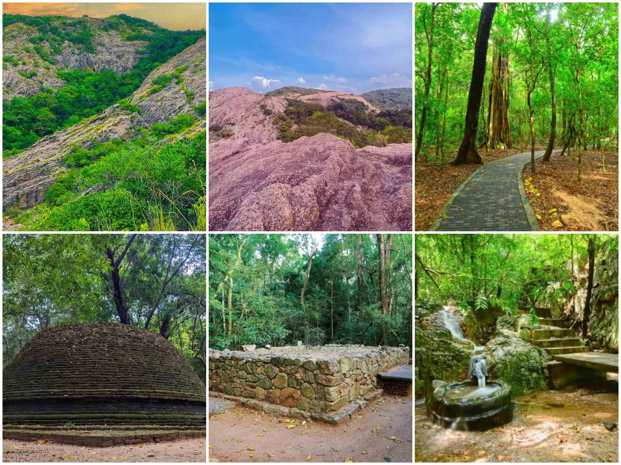 Namal Uyana forest in Sri Lanka